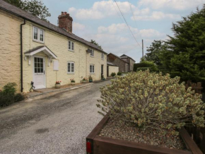Bluebell's Cottage